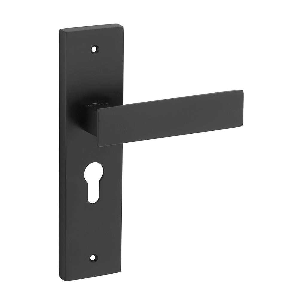 IPSA Sage Moderna Handle Series on 8" Plate CYS Lockset with 60mm Both Side Key - Matte Finish BLACK